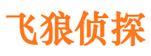 永定婚外情调查取证